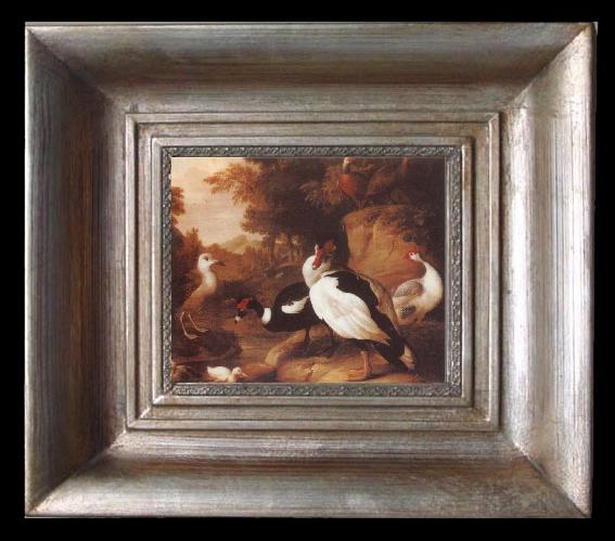 framed  Jakob Bogdani Wild Ducks, Ta077-2